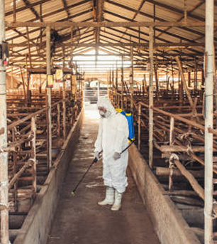 Worker in protective gear spraying disinfectant in an empty animal feed facility.