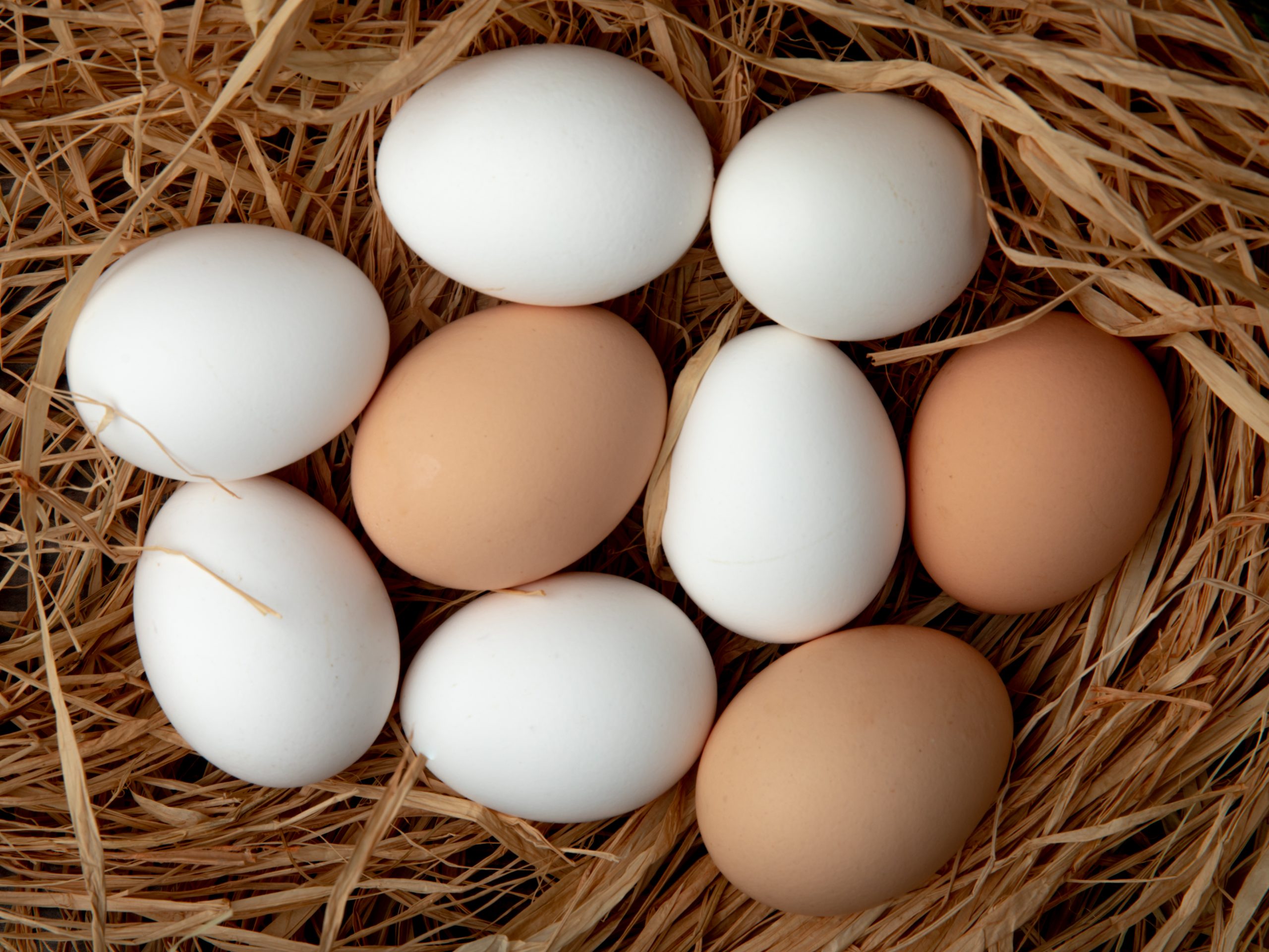 Close-up of white and brown eggs nestled on a straw surface.