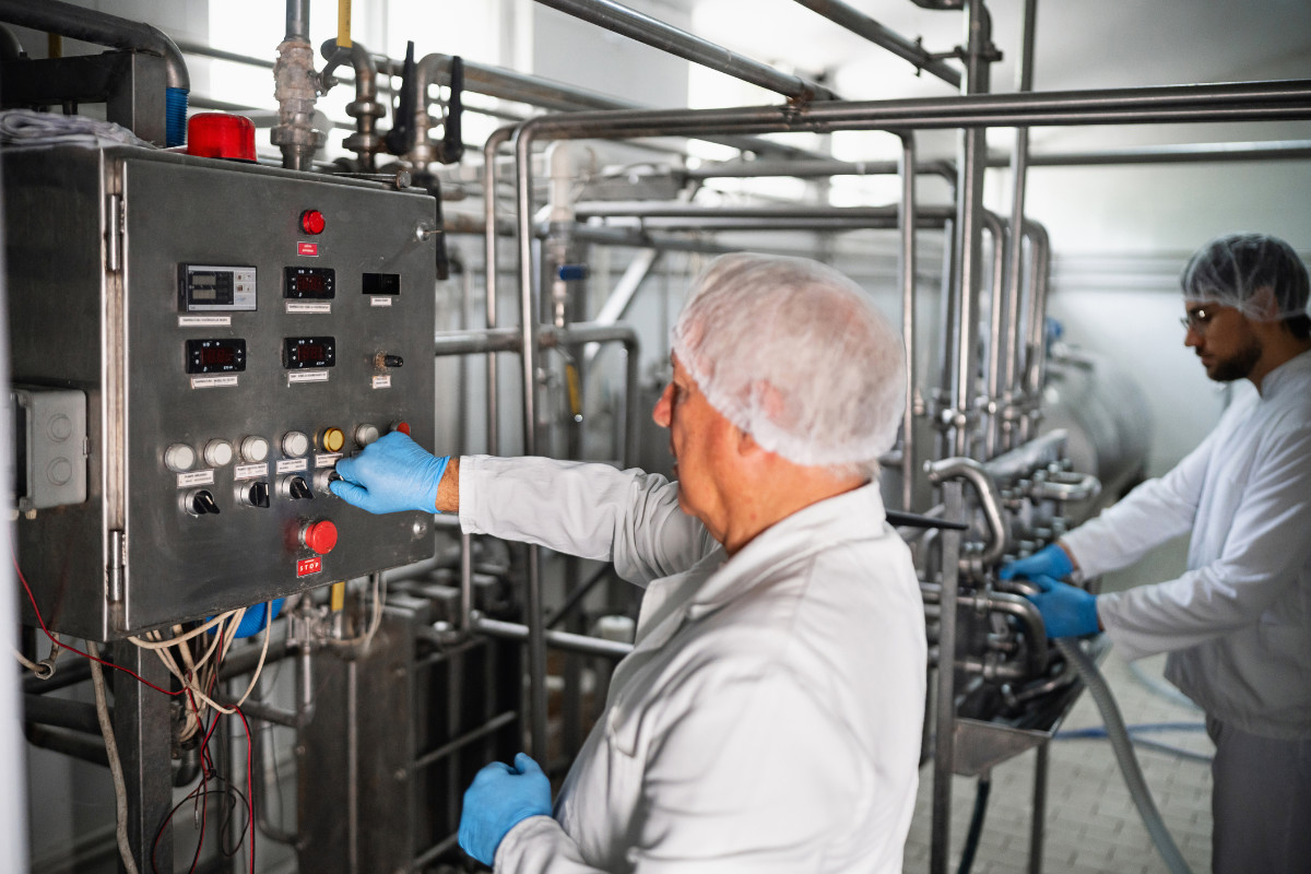 Workers in protective clothing operate machinery in a modern dairy processing plant, emphasizing hygiene and production processes.