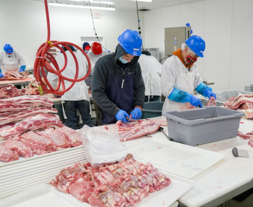 Workers in a meat processing facility wearing protective gear, handling and sorting cuts of meat on a production line.